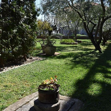 Apartman Dodo Zadar Exterior foto
